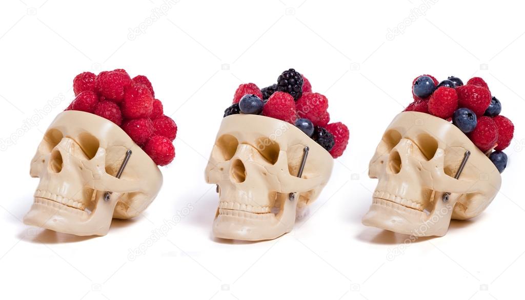Berries for Brains