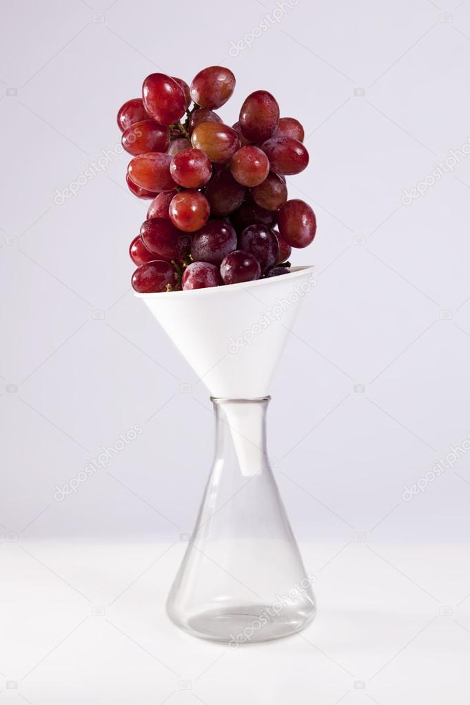Grape Science