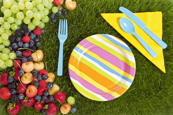 Obst Picknick Hintergrund — Stockfoto