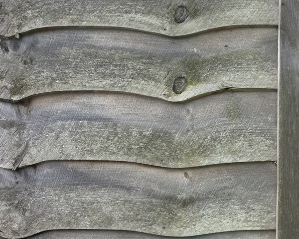 Doghe di legno — Foto Stock