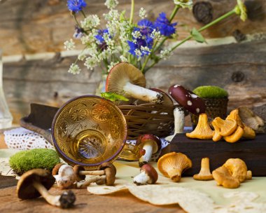 mantar ve kriket natürmort