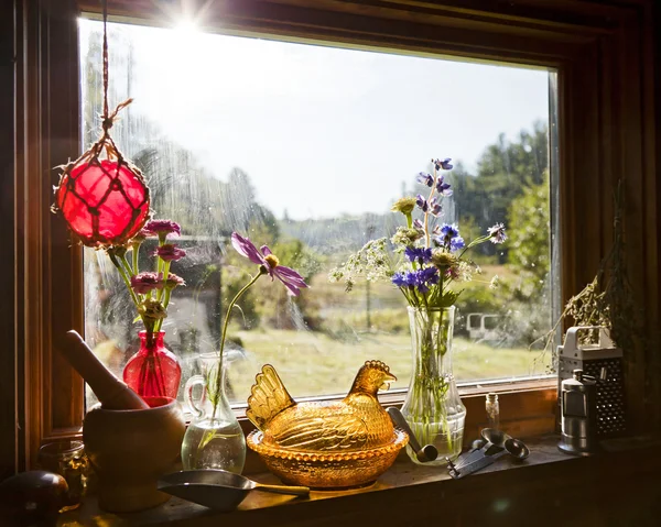 Luz del sol matutina Naturaleza muerta — Foto de Stock