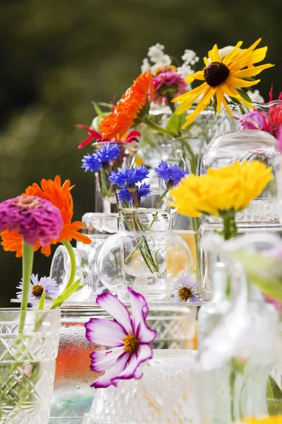Letní divoké květiny — Stock fotografie