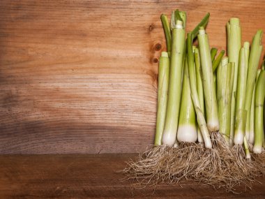 çiftlik taze pırasa arka plan