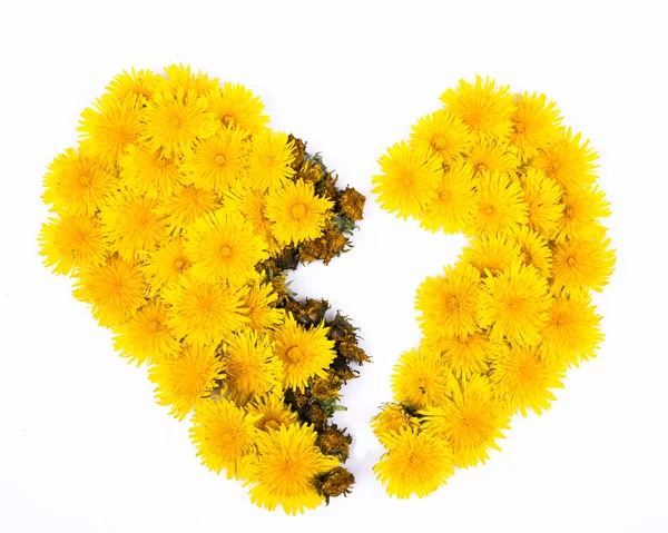 Broken Dandelion Heart — Stock Photo, Image