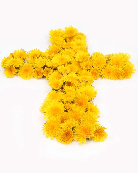 Chrześcijański kwiat mniszek — Zdjęcie stockowe