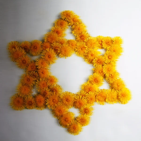 Dandelion Star of David — Stock Photo, Image