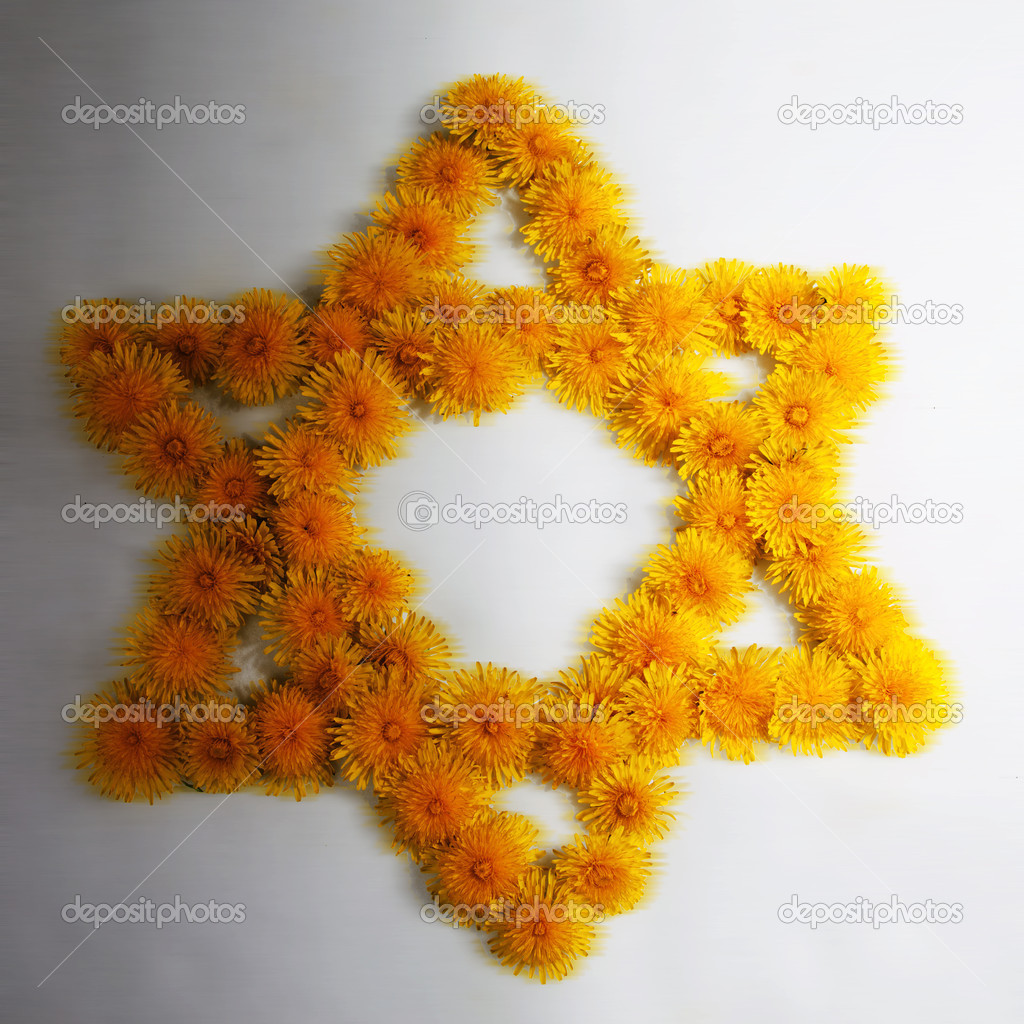 Dandelion Star of David