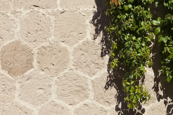 Doku arka taş döşeme — Stok fotoğraf