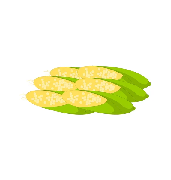 Kukuřice - ilustrace — Stockový vektor