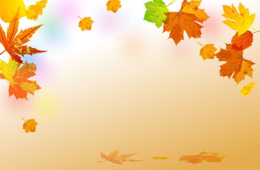 Sonbahar Yaprakları