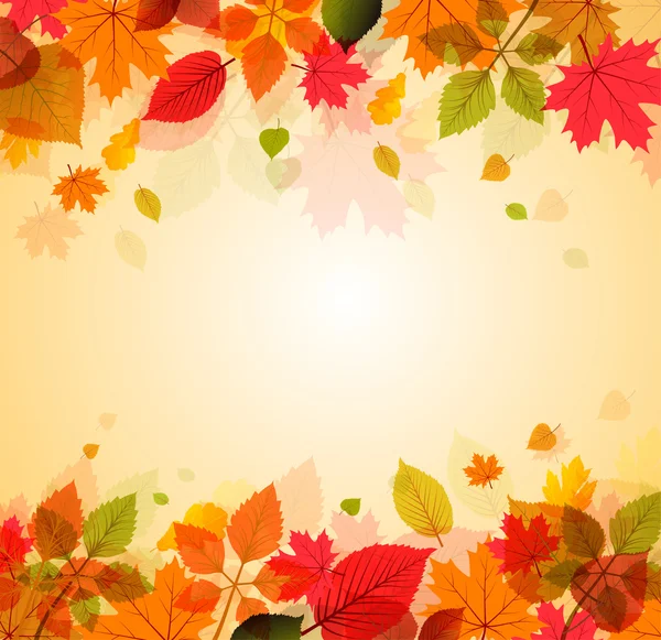 Autumn leaves — Stock Vector