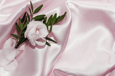 İpek arkaplanda çiçek yaka çiçeği, metin için boşluk.