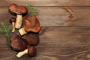 Orman mantarları Boletus edulis ve Boletus badius ahşap bir zemin üzerinde metin için alan ile