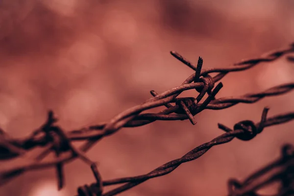 Barbed Rusty Wire Spiral Security Barrier Prison Fencing — Foto Stock