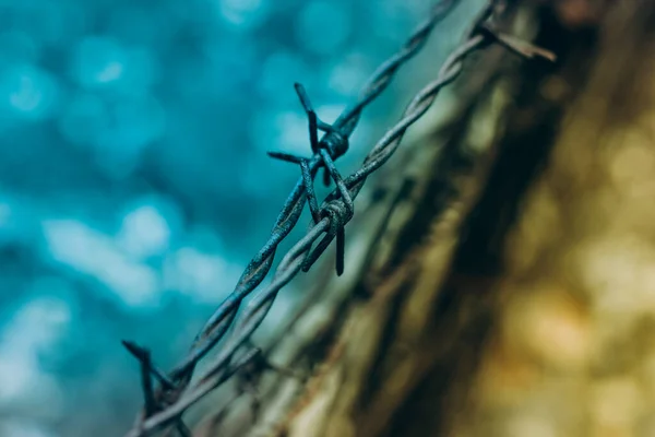 Dikenli tel sarmal güvenlik bariyeri, Ukrayna bayrağının mavi sarı renginde hapishane eskrimi.