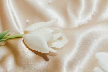 Beyaz lale buketi ipekten altın saten arka planda..