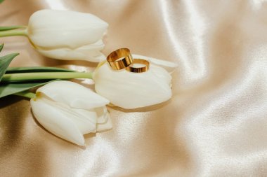 Beyaz lale buketi. İpek, altın, saten arka planda alyansları olan..