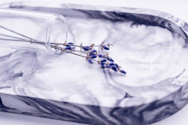 Dekoratif mermer tezgahta cam vazoda lavanta filizleri..