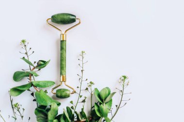 Yeşil bitkileri olan bir arka planda yeşim silindirli yüz masajcısı.