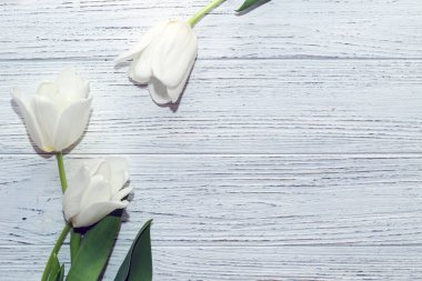 Tahta beyaz arka planda beyaz lale buketi, metin için boşluk.
