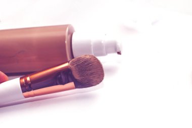 Crassula, Cactaceae ve Sansevieria ahşap bir arka planda, bir saksıda, ev bahçeleri için bir bitki