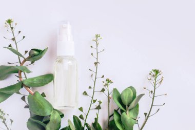 Crassula, Cactaceae ve Sansevieria ahşap bir arka planda, bir saksıda, ev bahçeleri için bir bitki