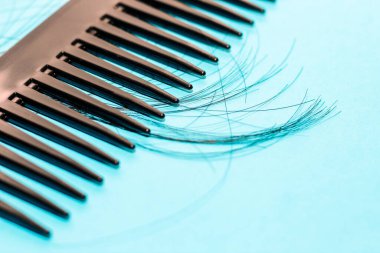 Alopecia hair loss concept, fallen hair on combs from disease.