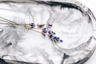 Dekoratif mermer tezgahta cam vazoda lavanta filizleri..