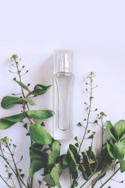 Yeşil bitkilerle saydam parfüm şişesi..
