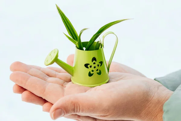 Hands Holding Iron Iron Small Watering Can Plant — Stock Photo, Image