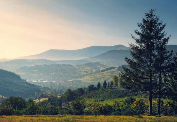 Sunrise dağ ve vadi yaz