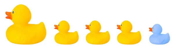Speelgoed rubber duck familie geïsoleerd op wit — Stockfoto