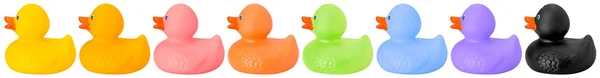 Toy rubber colored ducks isolated on white right side — Stock Photo, Image