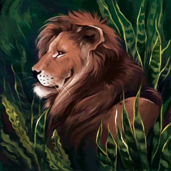 Adult Lion Green Grass — Stock Photo, Image