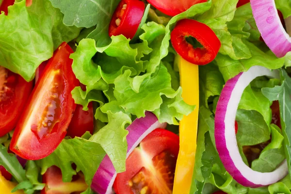 Primo piano dell'insalata fresca — Foto Stock
