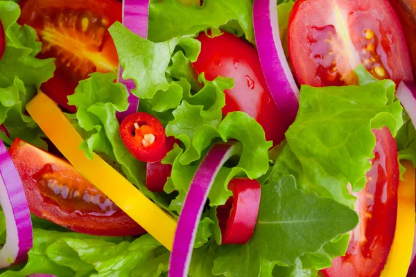 Frisk salat close-up - Stock-foto