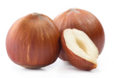 Fındık beyaz arkaplanda izole