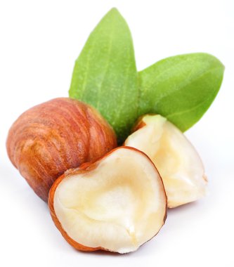 Beyaz arkaplanda fındık