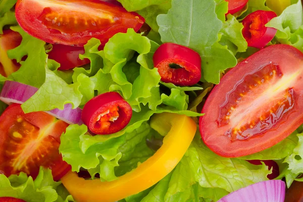 Salada fresca close-up — Fotografia de Stock