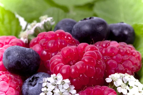 Vollrahmen reife Himbeeren und Blaubeeren — Stockfoto