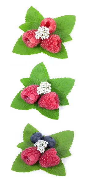 Ein paar Himbeeren und Blaubeeren — Stockfoto