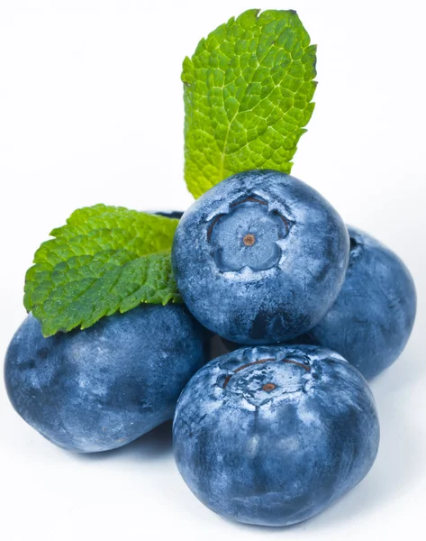 Several Blueberries — Stock Photo, Image