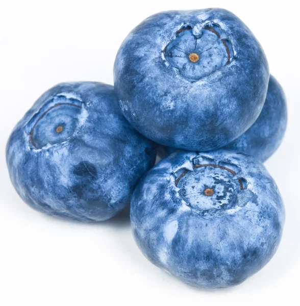 Mehrere Blaubeeren — Stockfoto