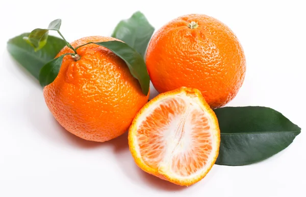 Ein paar Mandarinen mit grünem Blatt — Stockfoto