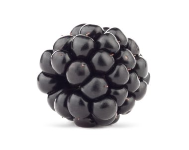 Blackberry