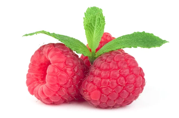 Drei Himbeeren mit grünen Blättern auf weißem Hintergrund — Stockfoto