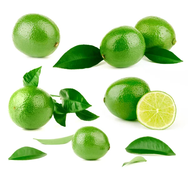 Lotes de limão e folhas verdes — Fotografia de Stock