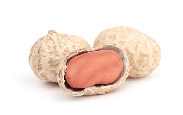 Peanut — Stock Photo, Image