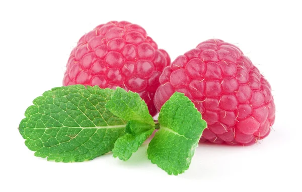 Raspberry — Stock Photo, Image